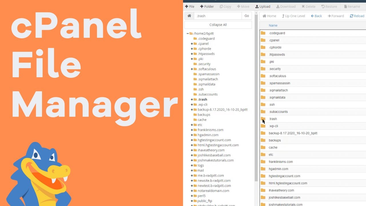 Hosting Server Uploading