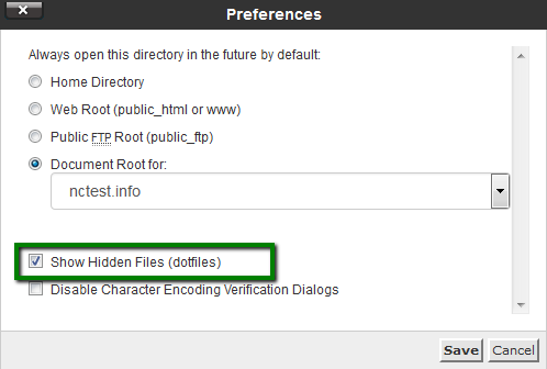 Web Hosting