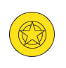 Star badge icon for hosting services
